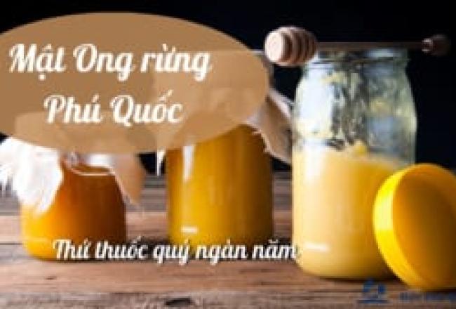 hình ảnh mô tả